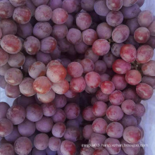 fresh red globe grapes Chinese red grapes red globe grape